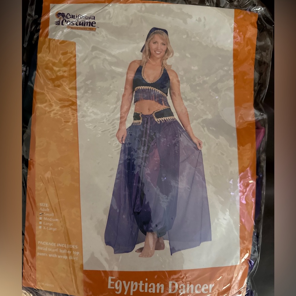 Vintage retro Egyptian dancer costume